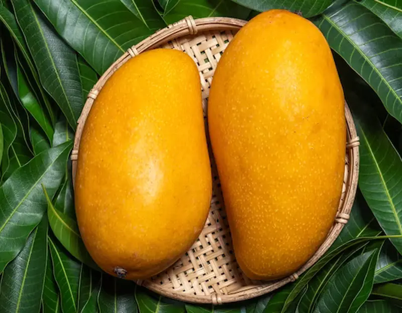 Langra mango