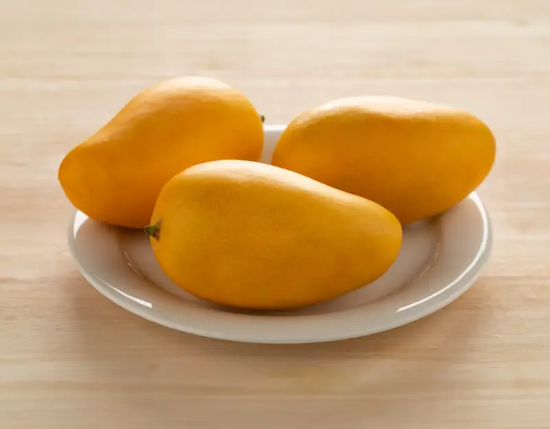 Rajapuri Mango 